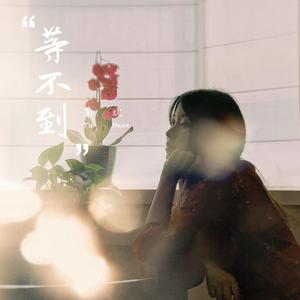 乱子伦在线观看中文字幕
